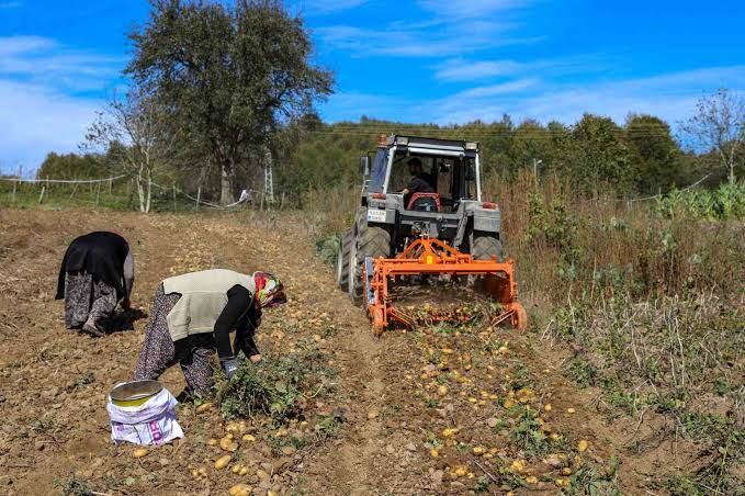 Aydın’da Çiftçinin Maliyeti Artacak Motorine Dev Zam Bekleniyor (2)
