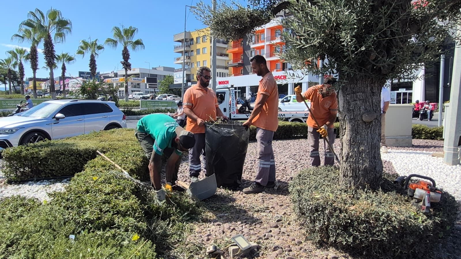 Kusadasinda Kentin Yesil Dokusuna Profesyonel Dokunus 692597 6B0507