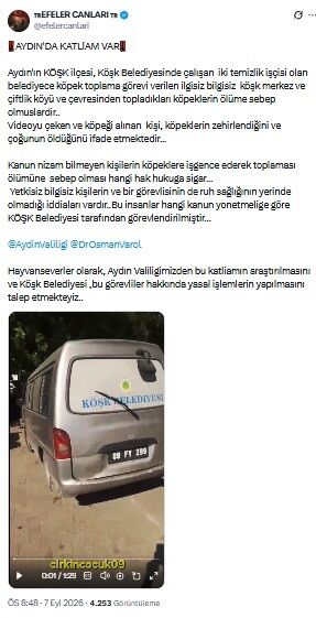 Aydın’da bu görüntüler hayvanseverleri ayağa kaldırdı