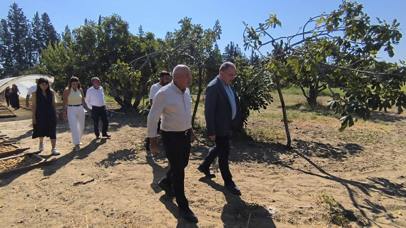 Yeni̇ Partili Karakoz Aydınlı Incir Üreticilerinin Sesi Oldu Tari̇ş Alım Fiyatını Vakit Kaybetmeden Açıklamalıdır (6)