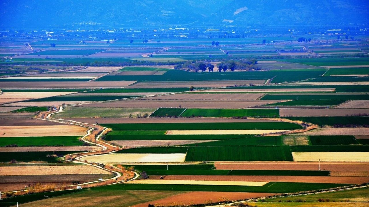Bakanlık Aydın’daki tarım örgütlerini derecelendirdi