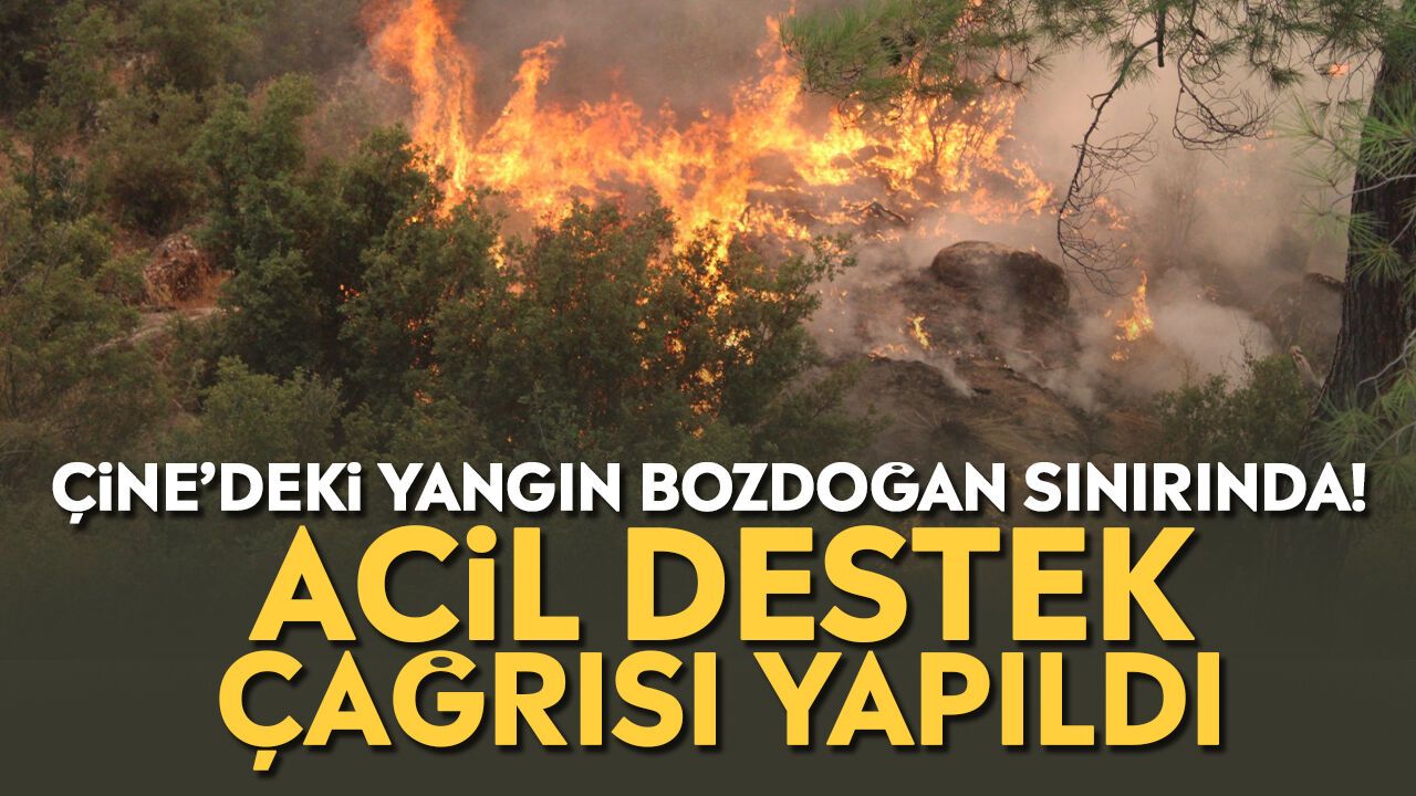 Çine'deki yangın Bozdoğan sınırına dayandı, acil destek istendi