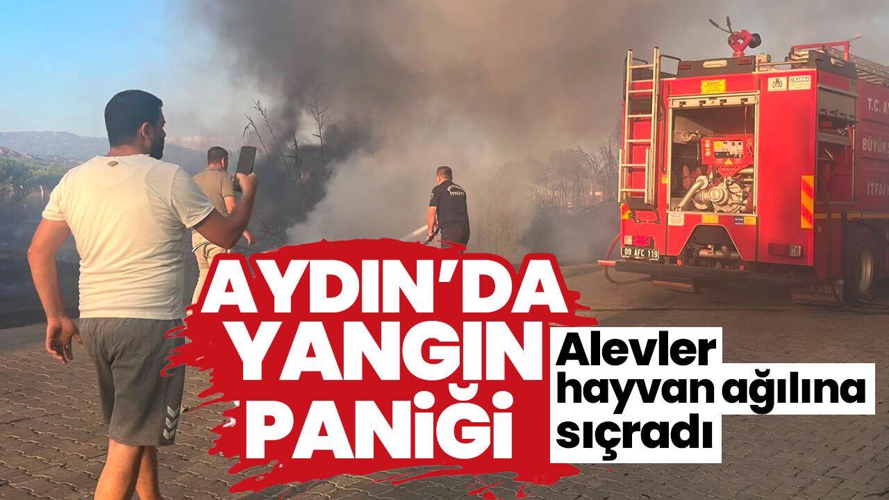 Aydın'da yangın paniği! Alevler hayvan ağılına sıçradı