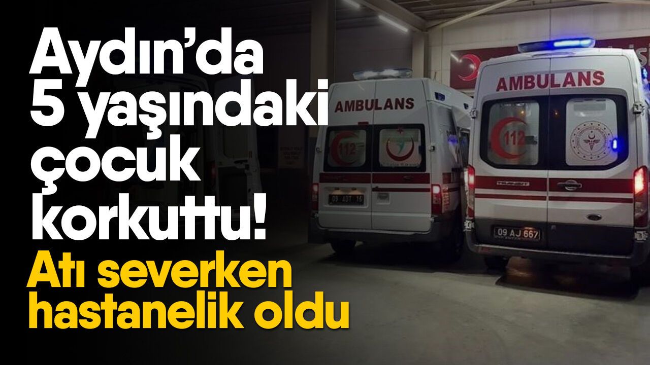 Aydın’da 5 yaşındaki çocuk korkuttu! Atı severken hastanelik oldu