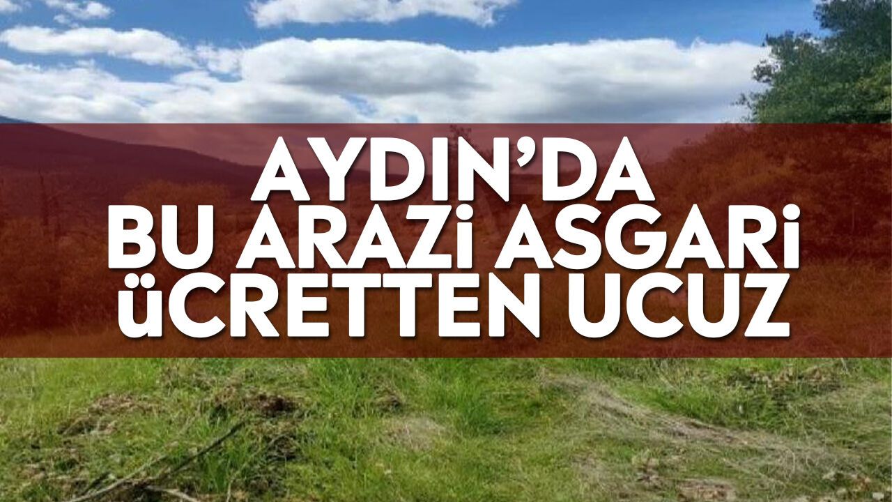 Aydın'da tarla vasıflı arazi asgari ücretten ucuza satışa çıkarıldı