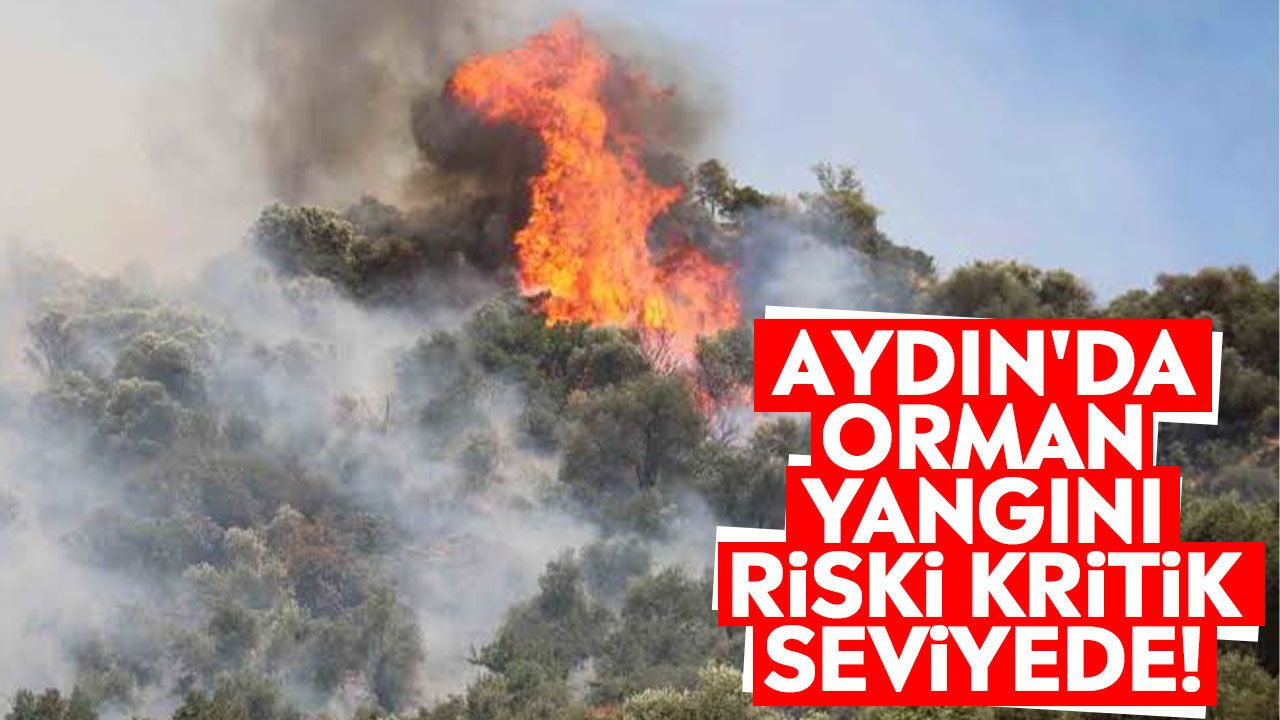 Aydın'da orman yangını riski kritik seviyede!