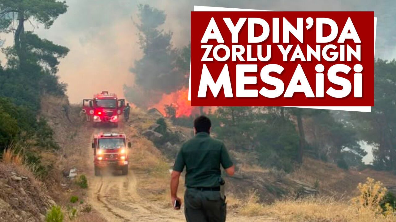 Aydın'da zorlu yangın mesaisi