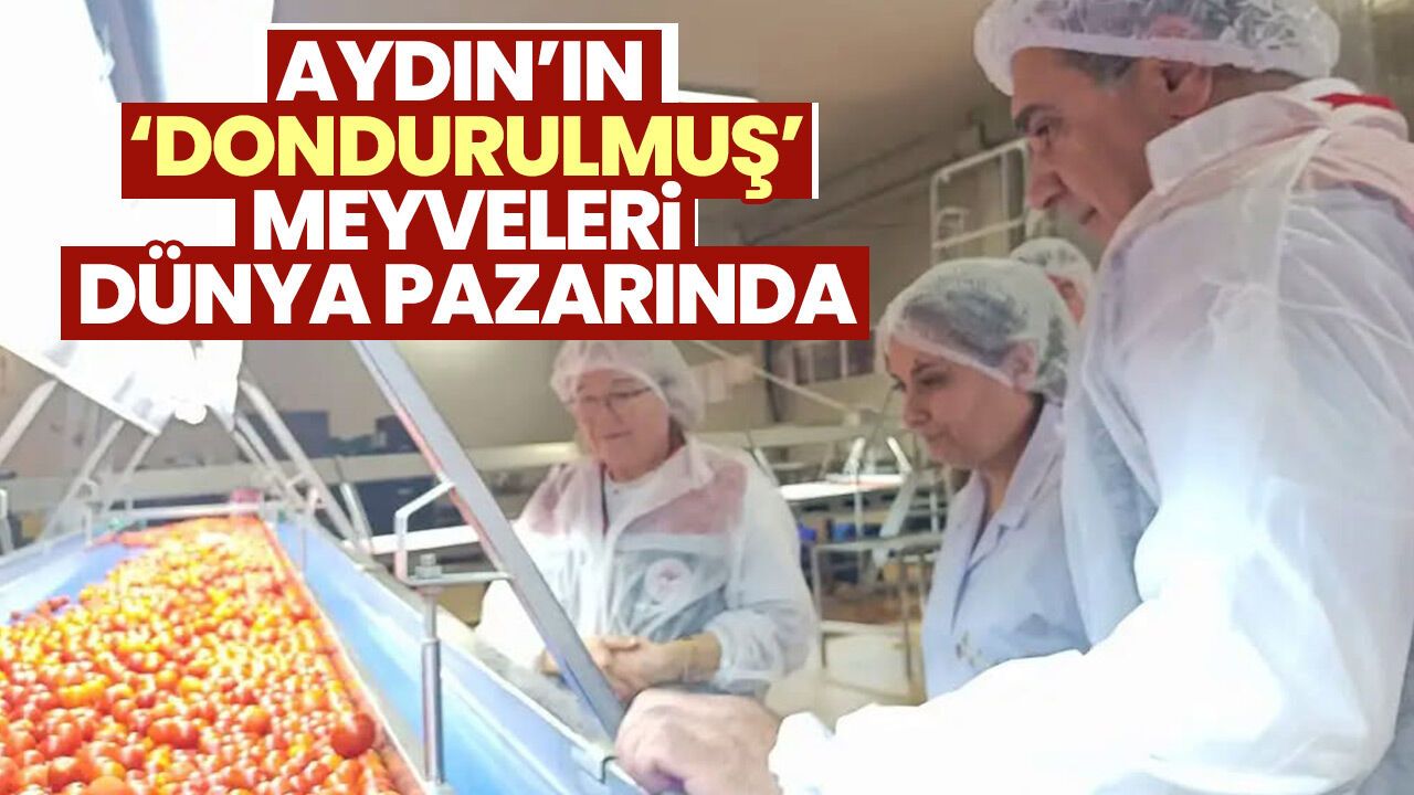 Aydın’ın ‘Dondurulmuş’ Meyveleri Dünya Pazarında