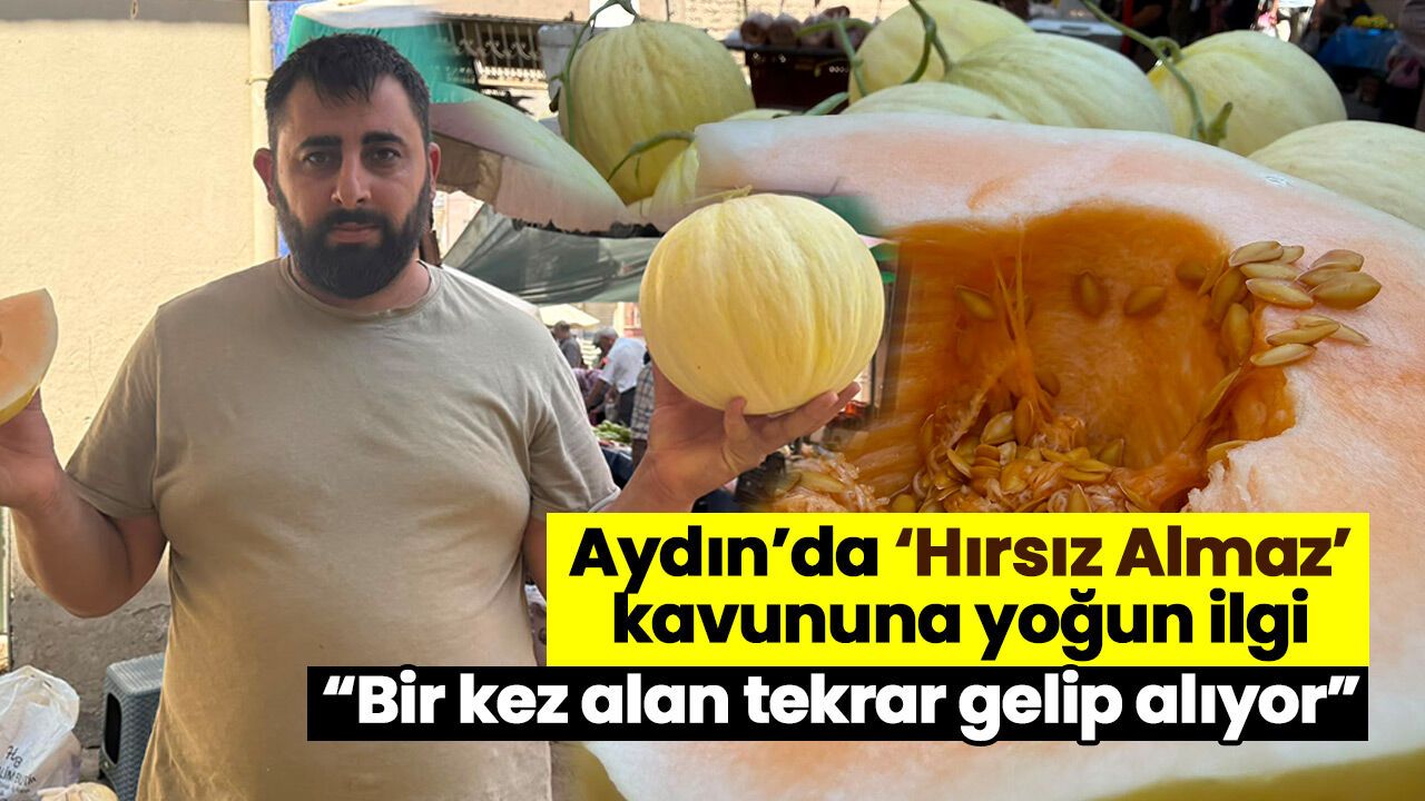 Aydın'da 'Hırsız Almaz' kavununa yoğun ilgi
