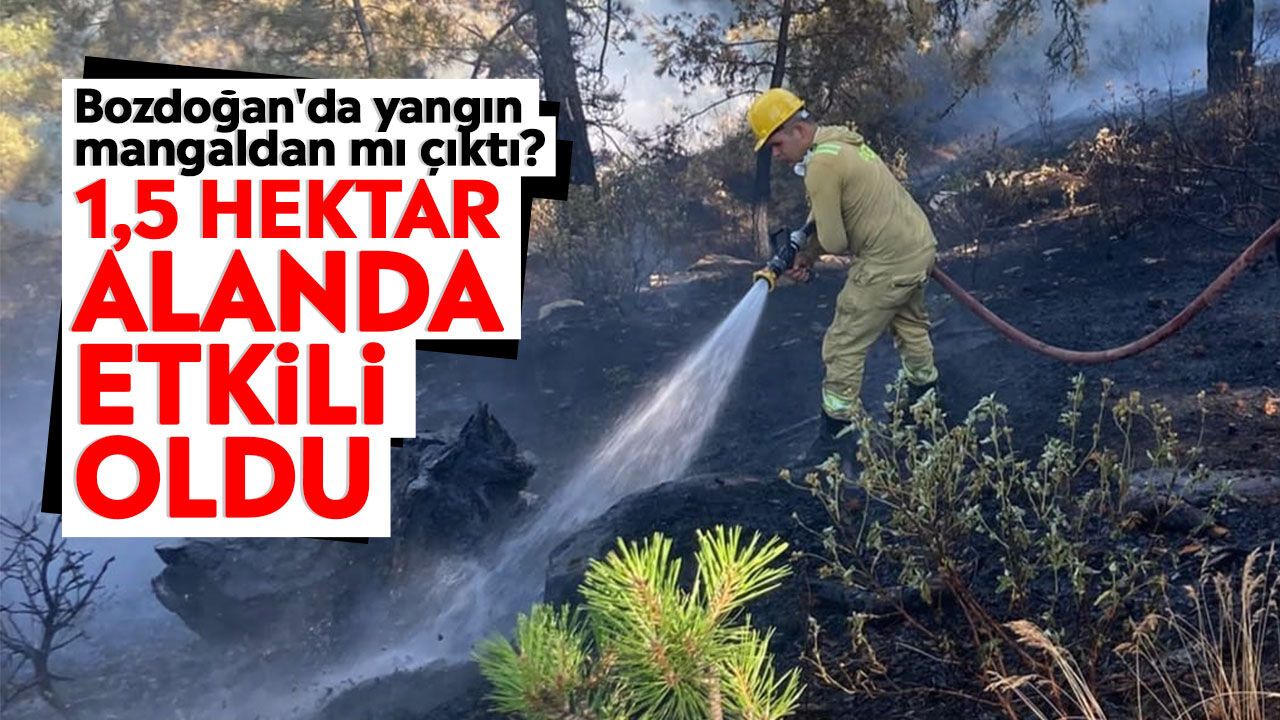 Bozdoğan'da yangın mangaldan mı çıktı? 1,5 hektar alanda etkili oldu