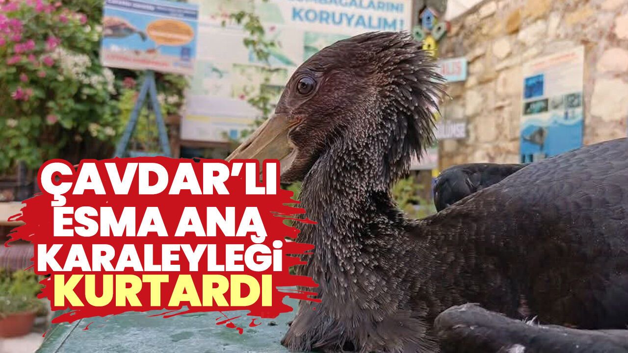Çavdar’lı Esma ana Karaleyleği kurtardı