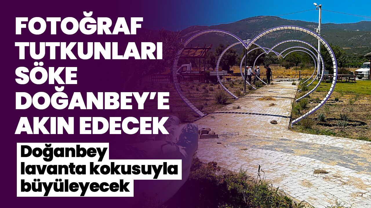 Fotoğraf tutkunları Söke Doğanbey’e akın edecek! Doğanbey lavanta kokusuyla büyüleyecek