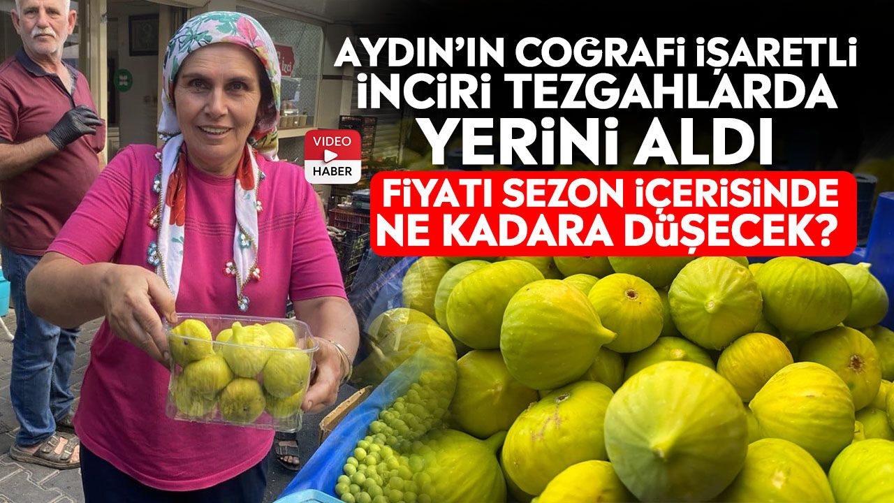 Aydın’ın coğrafi işaretli inciri tezgahlarda yerini aldı: Fiyatı sezon içerisinde ne kadara düşecek?