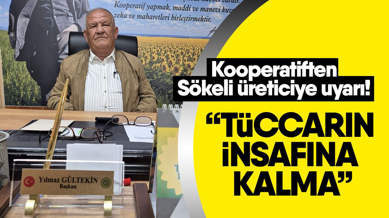 Kooperatiften Sökeli üreticiye uyarı! “Tüccarın insafına kalma”