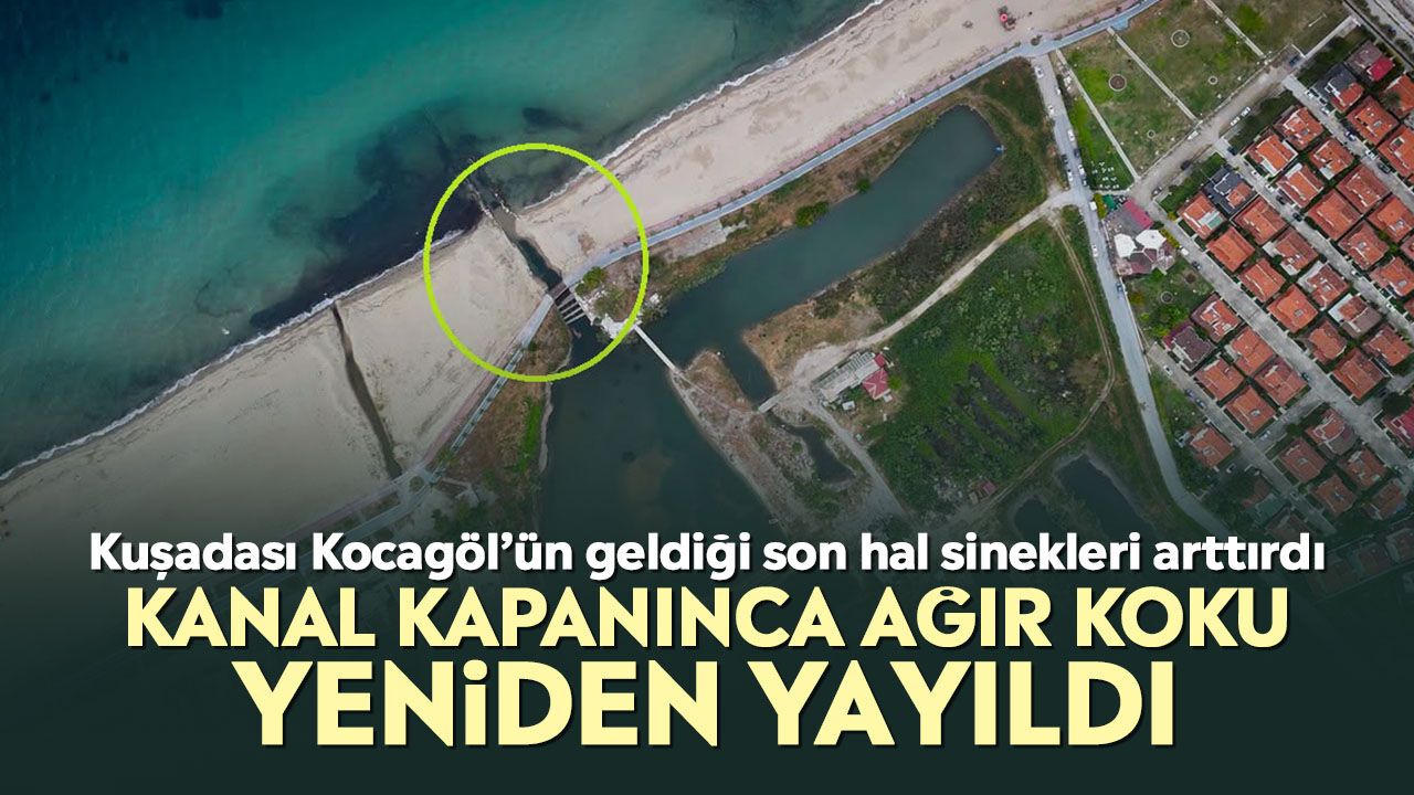 Kuşadası Kocagöl’ün geldiği son hal sinekleri arttırdı: Kanal kapanınca ağır koku yeniden yayıldı