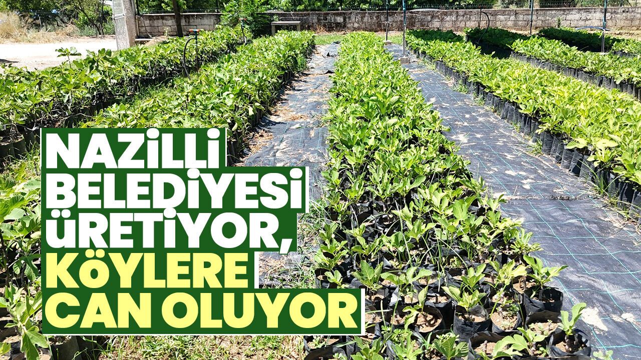 Nazilli Belediyesi üretiyor, köylere can oluyor