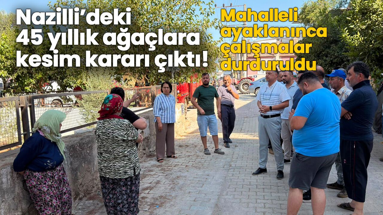 Nazilli'de 45 yıllık ağaçlar kesilmek istenince mahalleli ayaklandı