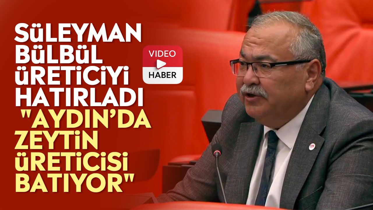 Süleyman Bülbül üreticiyi hatırladı: "Aydın’da zeytin üreticisi batıyor"
