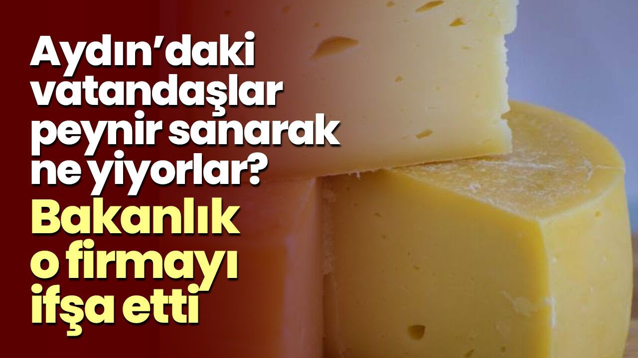 Aydın'daki peynir üreticisi firmaya tağşiş cezası