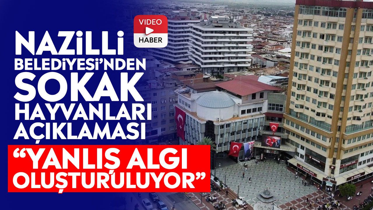 Nazilli Belediyesi’nden sokak hayvanları açıklaması: “Yanlış algı oluşturuluyor”