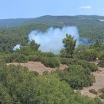 Aydın'da orman yangını riski kritik seviyede!