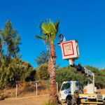 Didim’de çalışmalar aralıksız sürüyor