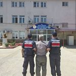 Nazilli’de orman işgalcisi jandarmaya yakalandı!