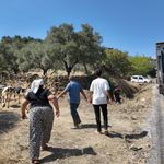 Aydın’da buruk tahliye! “Felaket Şeyler Yaşadık”