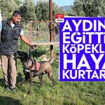 Aydın’da eğittiği köpeklerle hayat kurtarıyor