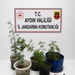 Aydın’daki gençleri zehirleyeceklerdi: Jandarmadan başarılı operasyon