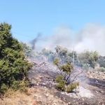 Çine'yi yine alevler sardı! Ekipler seferber oldu