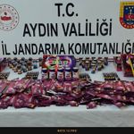 Didim’de yangın tehlikesine geçit yok! Binlerce yanıcı madde yakalandı