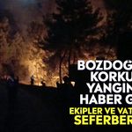 Bozdoğan'da korkutan yangından haber geldi! Ekipler ve vatandaşlar seferber oldu