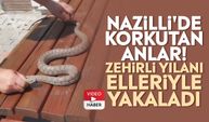 Nazilli'de korkutan anlar! Zehirli yılanı elleriyle yakaladı