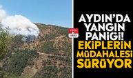 Aydın’da yangın paniği! Ekiplerin müdahalesi sürüyor