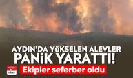 Aydın’da yükselen alevler panik yarattı! Ekipler seferber oldu