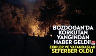 Bozdoğan'da korkutan yangından haber geldi! Ekipler ve vatandaşlar seferber oldu