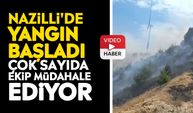 Nazilli'de yangın başladı: Çok sayıda ekip müdahale ediyor