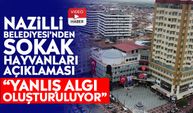 Nazilli Belediyesi’nden sokak hayvanları açıklaması: “Yanlış algı oluşturuluyor”