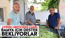 Aydınlı üreticiden çağrı: Bamya için destek bekliyorlar