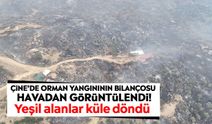 Çine’de orman yangınının bilançosu havadan görüntülendi! Yeşil alanlar küle döndü