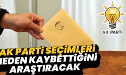 AK Parti 81 ilde sahaya inecek