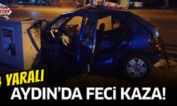 Aydın'da feci kaza: 2'si çocuk 4 yaralı