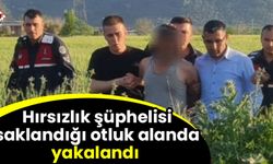 Hırsızlık şüphelisi saklandığı otluk alanda yakalandı