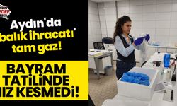 Aydın'da 'balık ihracatı' tam gaz!