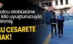 Şu cesarete bak!