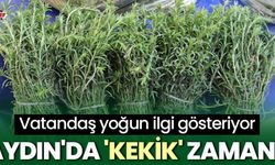 Aydın'da 'kekik' zamanı!