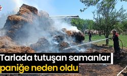 Tarlada tutuşan samanlar paniğe neden oldu