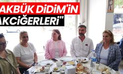 Didim Derneği'nden Akbük'teki mermer ocağı projesine tepki