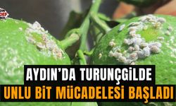 Tarım İl Müdürlüğü’nden üreticilere “mücadele” çağrısı